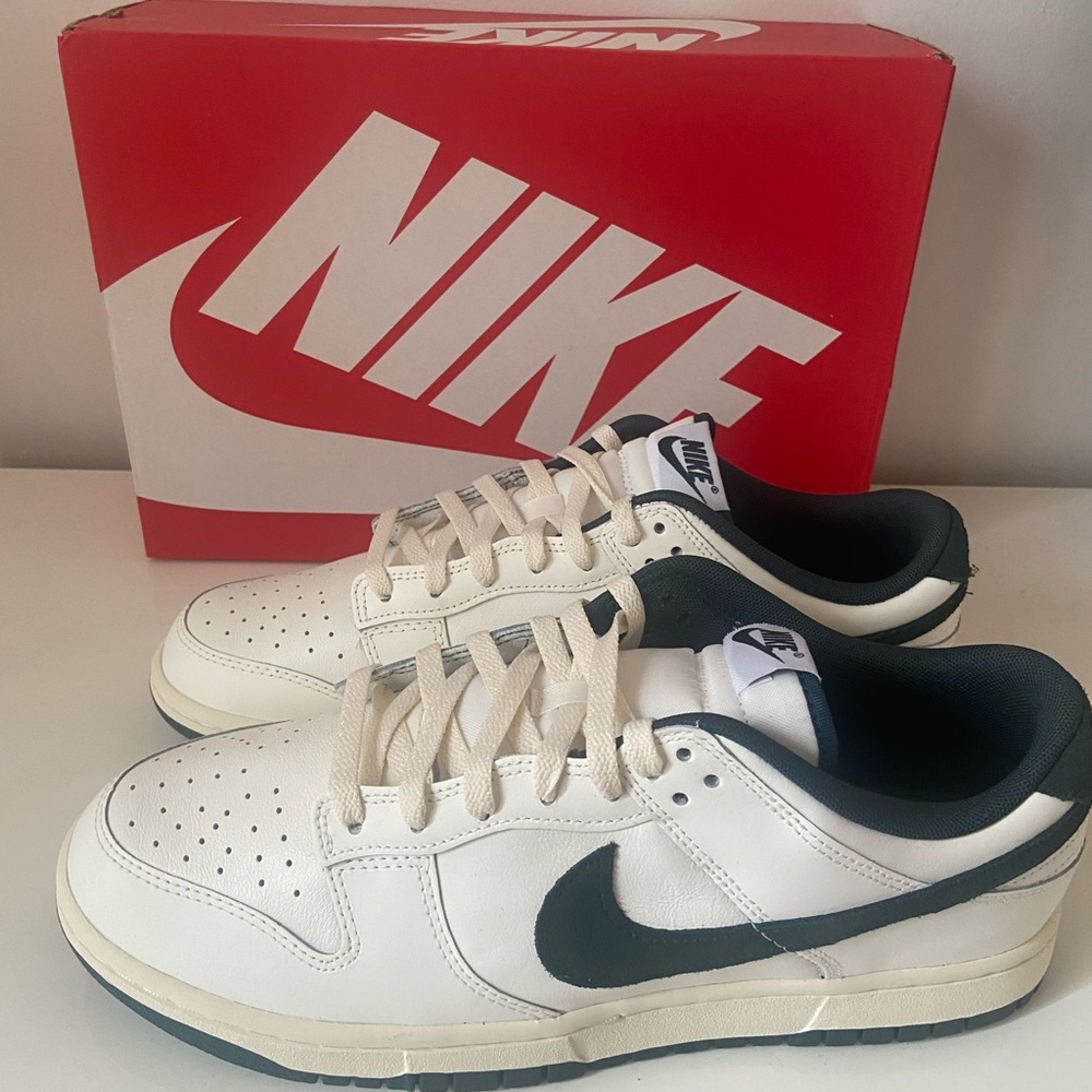 NIB Nike Dunk Low Men’s Size 11 Sneakers FQ8080-133